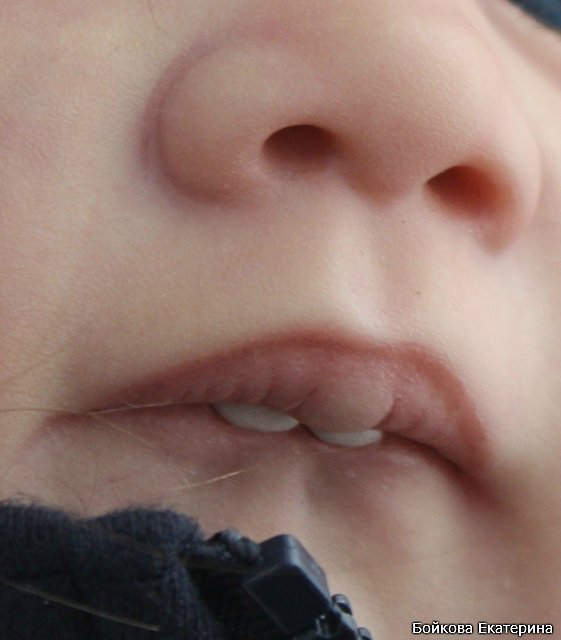 Кукла реборн Frida от Karola Wegerich в моём исполнении