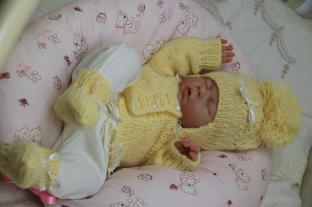 Ноашечка. Куколка реборн Виктории Вишни