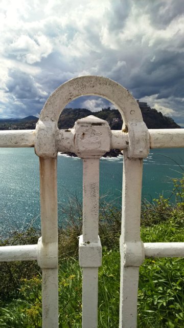 Пегий пёс, бегущий краем моря