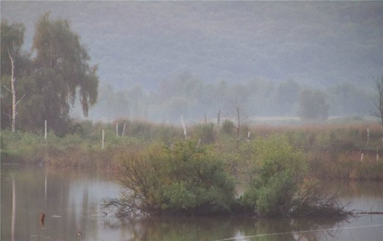 Небольшой поход Вихтелят на Ирдынские болота