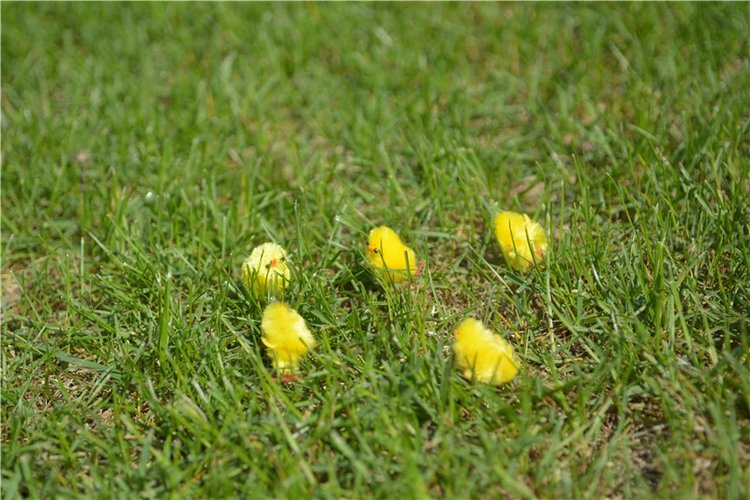 Во саду ли, в огороде — Куклы Sylvia Natterer (Сильвия Наттерер): Gotz (фото 8)