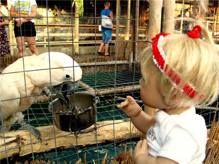 Лето. Солнце. Море. Всё смешалось - звери, куклы. Часть2 | Бэйбики Лето. Солнце. Море. Всё смешалось - звери, куклы. Часть2
