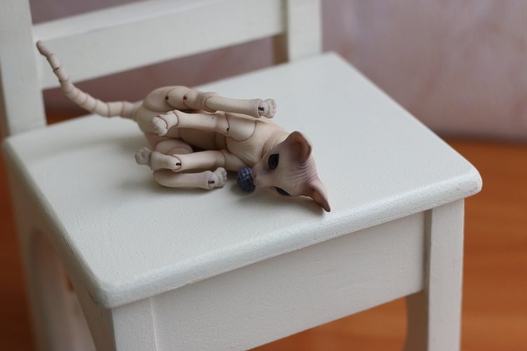 Кот играет с мячиком — Разные куклы BJD (БЖД): редкие бренды