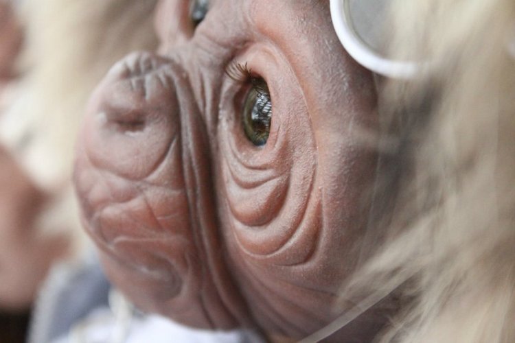 Лерка, кукла-реборн Элины Кудрявцевой