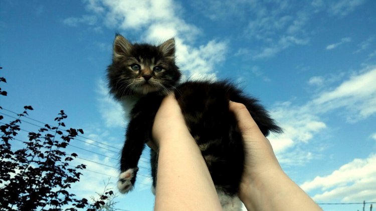 Кукла Нина. Мой подарок от подруги