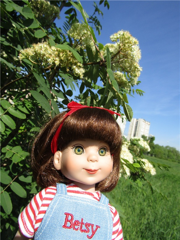 Бетси Robert Tonner. С красным бантом по зеленому лугу (фото 6)