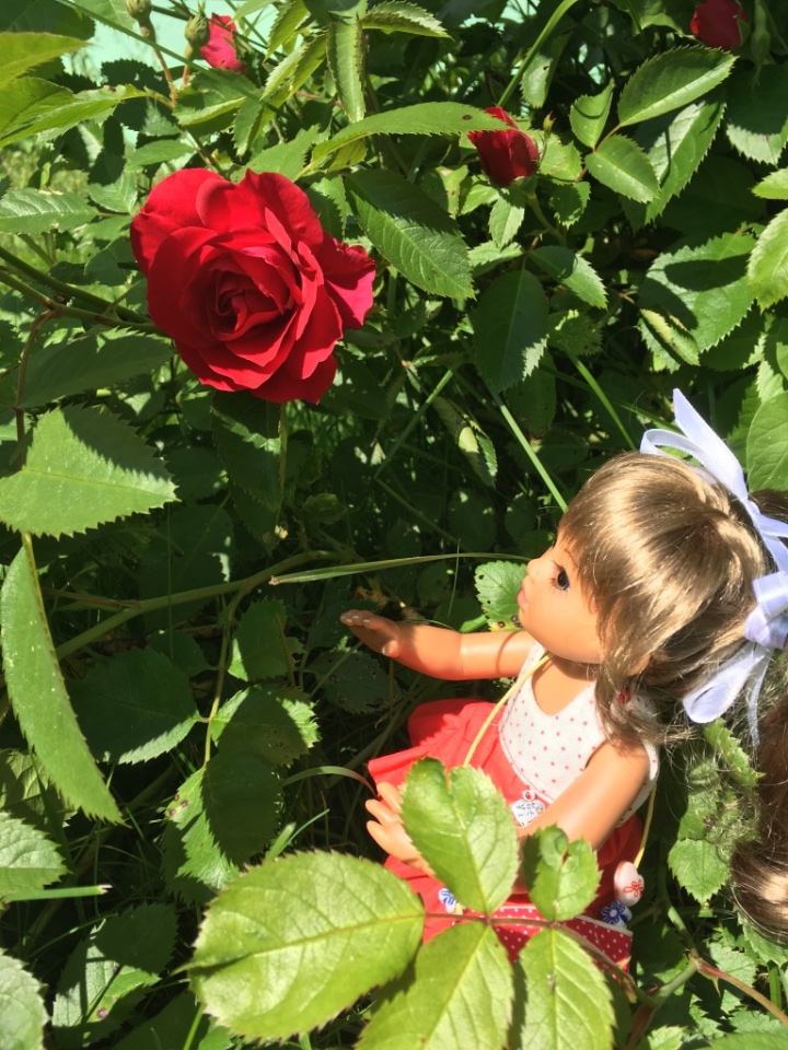 Мылыши от Gabriele Müller на даче (фото 3)