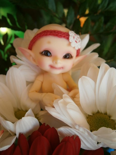 RealPuki Soso и Pupu — Куклы Fairyland (ФэйриЛэнд): BJD (БЖД) (фото 4)