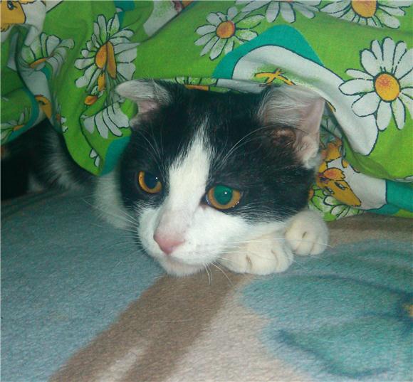 Можно ли в одной семье договориться (фото 4)