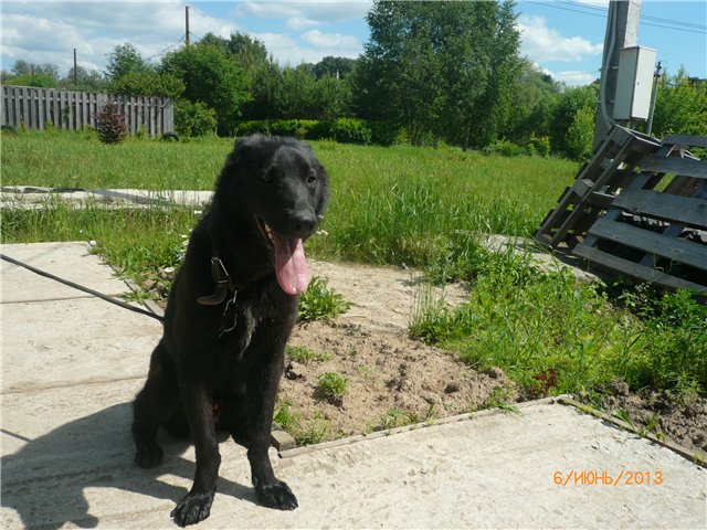 Мои позитивчики — Домашние коллекции кукол: фото собраний