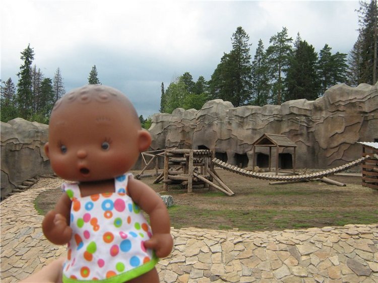 Пупсы Nines Artesanal D'Onil в Ижевском зоопарке