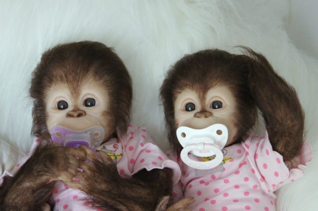 Развеселая компания (или мини-зоопарк)! Куклы реборн Вишни Виктории (фото 4)