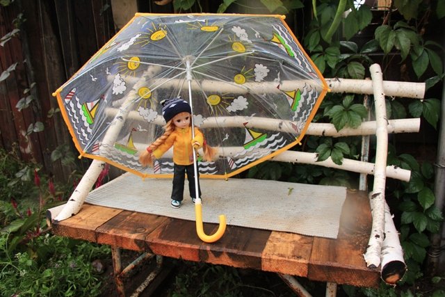 По грибы. Бузулукский бор