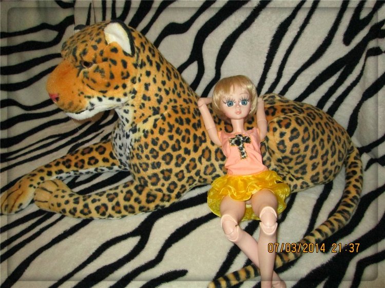 Моя звездочка — Куклы Звезды подиума (Angel Collection): шарнирные