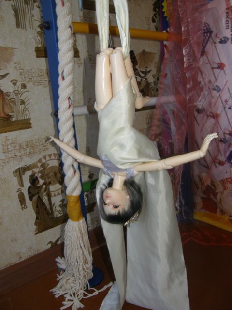 Мой маленький цирк, часть 5. Илана (МСД гибрид)