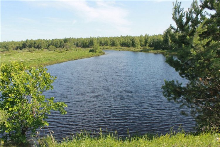 Знакомьтесь - Фенечка! Реалпуки Сосо от Fairyland