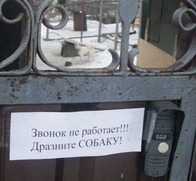 Курс на позитив) или пилюля хорошего настроения на весь день (гарантия!) | Бэйбики Курс на позитив) или пилюля хорошего настроения на весь день (гарантия!)