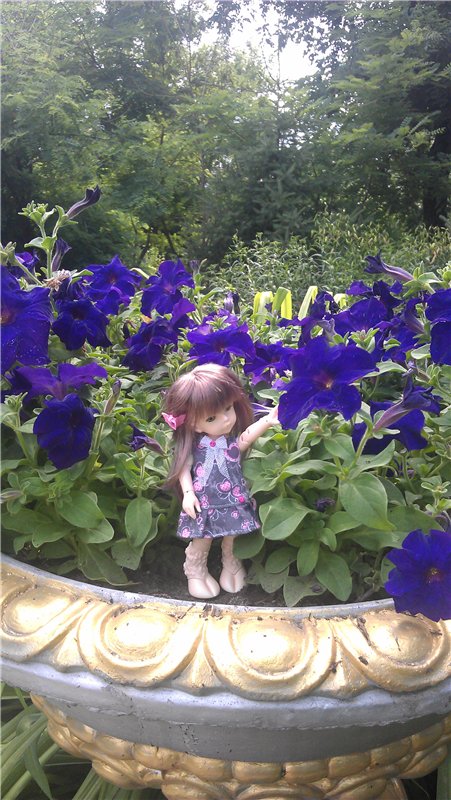 Маленький парк — Куклы Dollzone (Доллзон): BJD (БЖД)