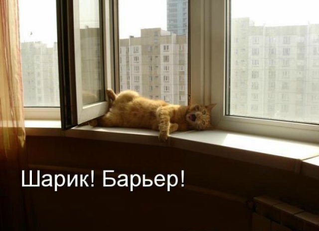 Море позитива) Для поднятия настроения (осторожно! много фото)))) | Бэйбики Море позитива) Для поднятия настроения (осторожно! много фото)))) (фото 10)