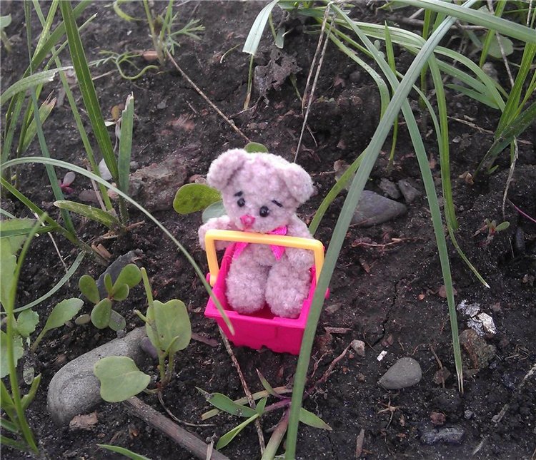 Немного лета в холода — Куклы Dollzone (Доллзон): BJD (БЖД) (фото 6)