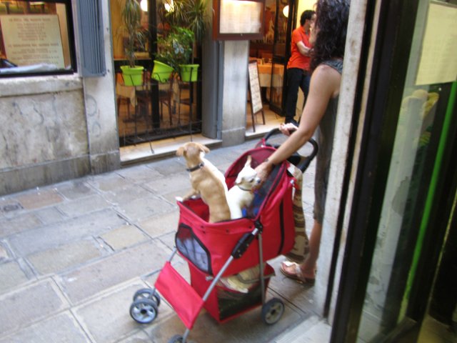 "Моя Италия". Часть 7 (заключительная) - Венеция