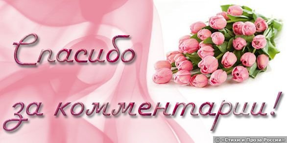 Спасибо за комментарий — Болталка и разговоры обо всем: жизнь