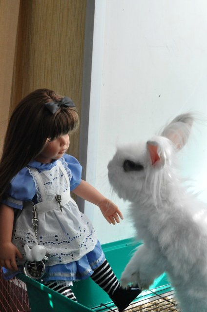 Конкурсы-конкурсы))) — Интересное и необычное: фотоподборки