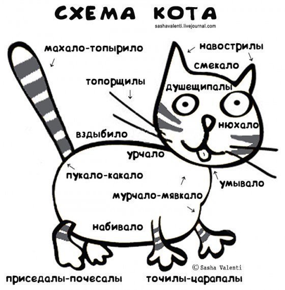 Кошачий позитив — Интересное и необычное: фотоподборки