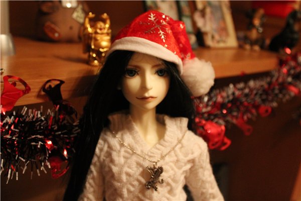 Новый Год 2016 для меня и Мишеля. Запоздалый отчет (фото 2)