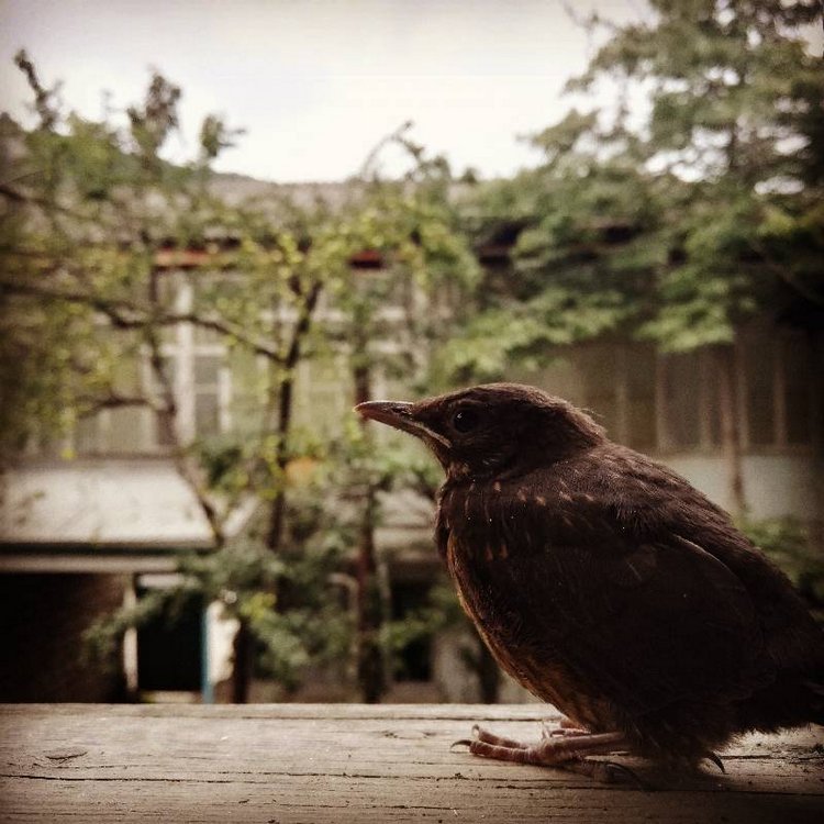 Те, кто нас любит и в домашнем халате, и без косметики, и растрепанными | Бэйбики Те, кто нас любит и в домашнем халате, и без косметики, и растрепанными