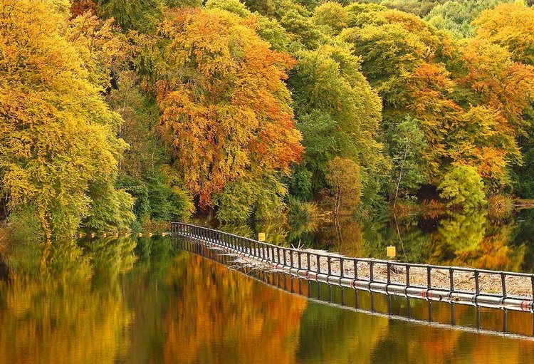 Красотка-осень — Болталка и разговоры обо всем: жизнь