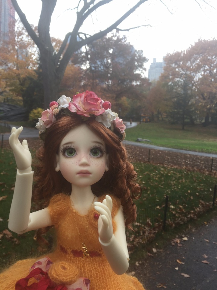 Луна гуляет в Центральном Парке в Манхаттане