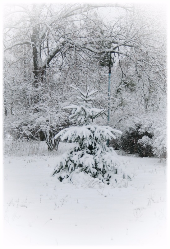 Из жизни маленькой банды. Детки Gabriele Müller. Часть 3 - Накануне Рождества и другое