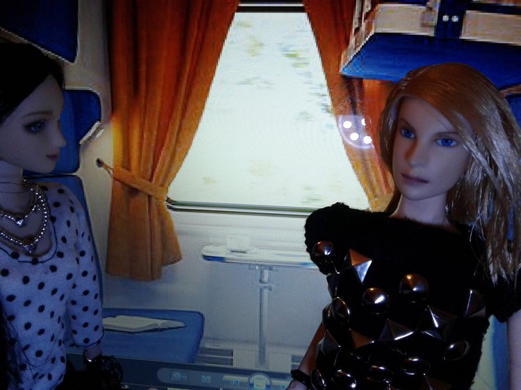 Зимнее солнце. Глава 1. Сказочный поезд (фото 10)