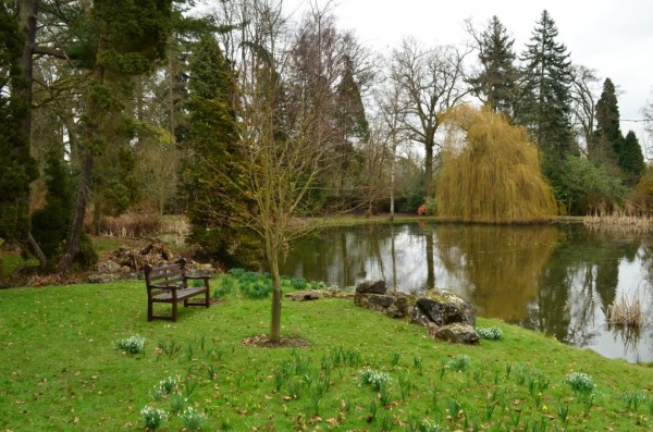 Зимнее солнце. Глава 10. Джаред из семьи Фоксов