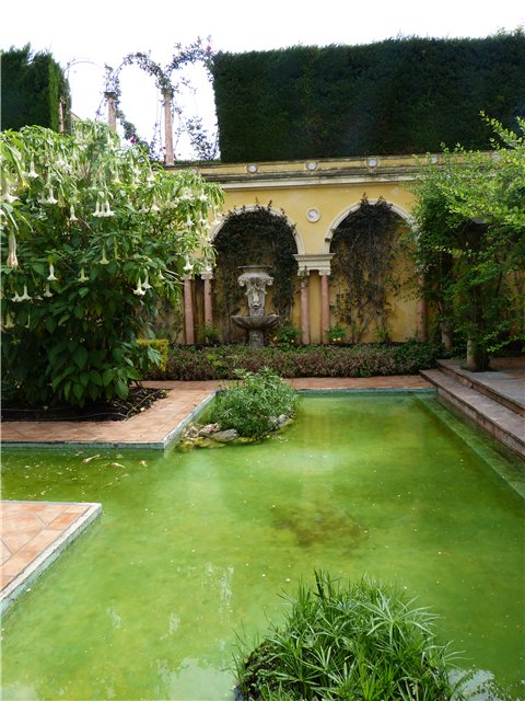 Мои фотозарисовки Лазурного берега Франции