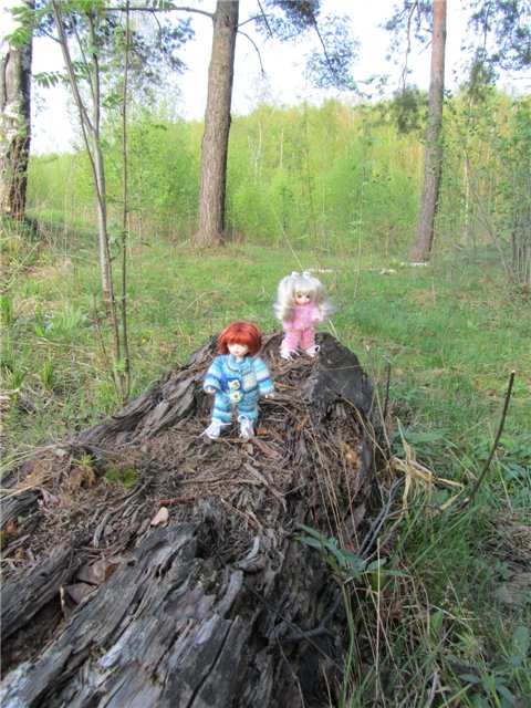 Весенний день... или как девочки ходили на пикник.№2