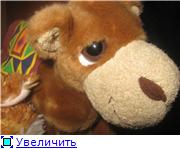 Любимцы моих мальчишек или пучеглазики (фото 3)