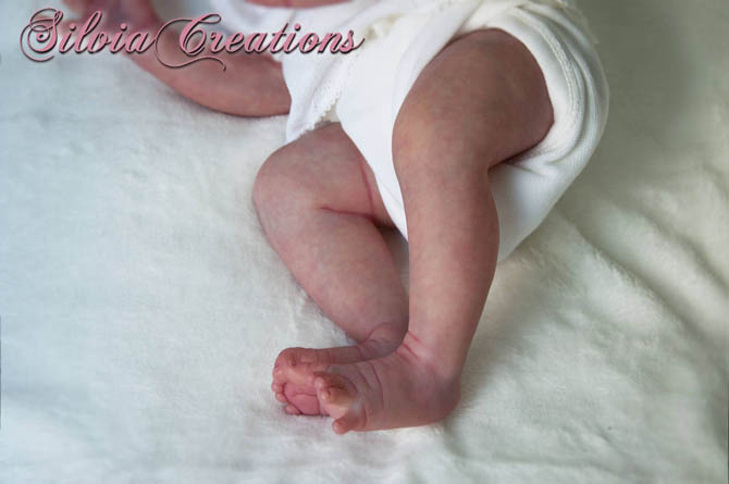 Новый молд Will от Натали Шолль (фото 2)