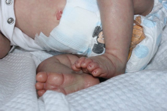 Меня аист принес, кукла реборн Беспаловои Жанны (фото 8)