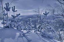 Как прекрасен этот мир, посмотри... "Хороший фотограф тот, кто сумеет выстроить на одной оси глаз, голову и сердце"