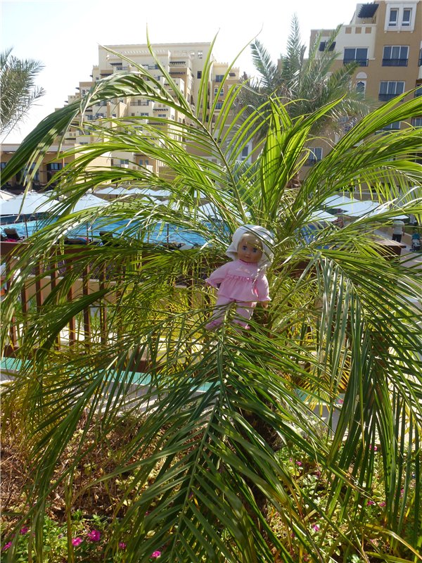 Кукольный шок или Светланка в Арабских Эмиратах