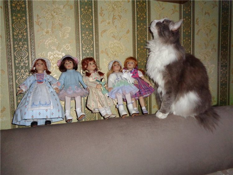 Я их посчитала... Коллекция виниловых кукол от Heidi Plusczok, часть 2