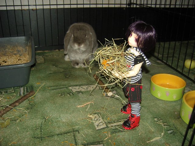 Юннаты - Рен и Ран — Куклы Dollzone (Доллзон): BJD (БЖД) (фото 10)