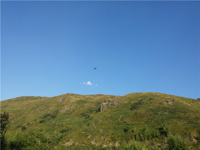 Однажды летним жарким днем.... Как Ева к конкурсу готовилась