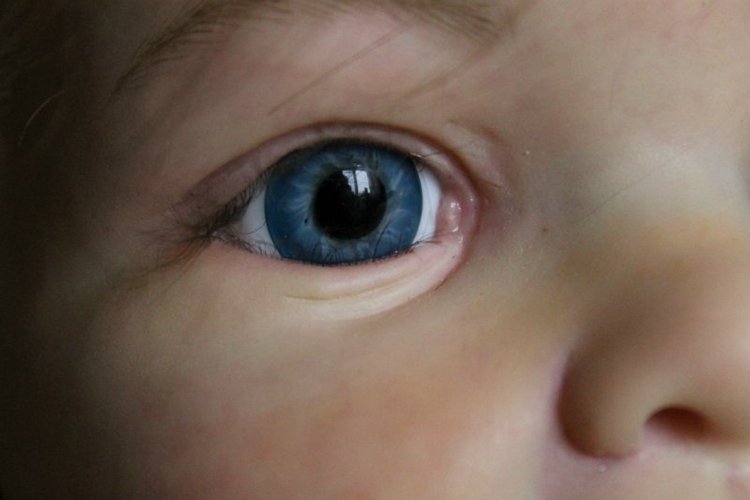 Прототип Sophia by Jannie de Lange. Кукла реборн Шепелевой Людмилы