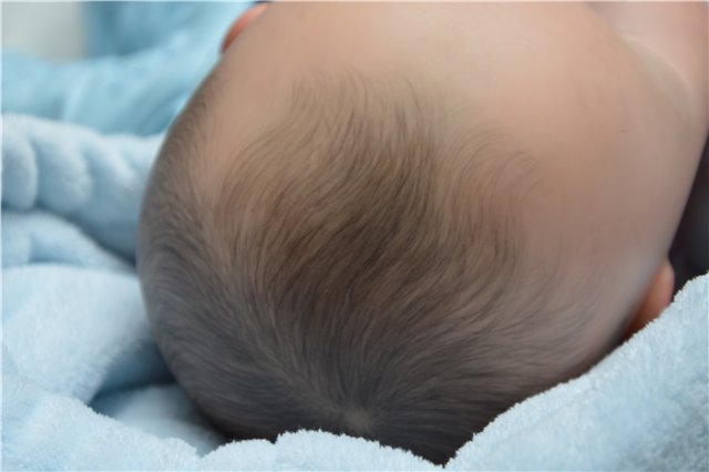 Подарок с севера. Добавлены новые фотографии (фото 5)