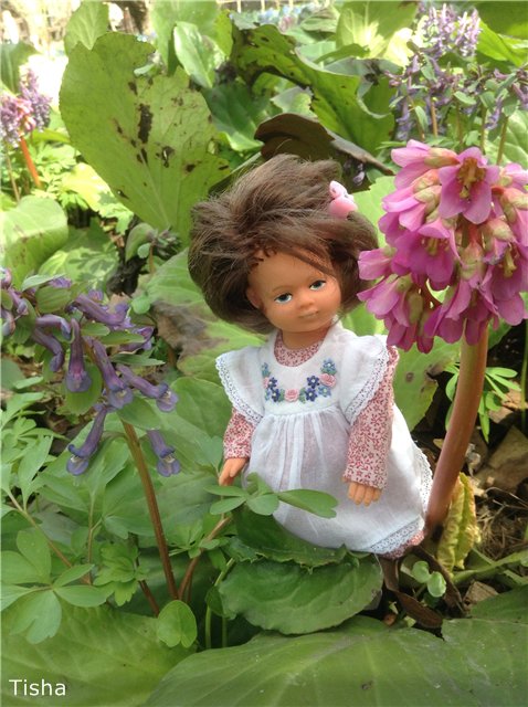 Маленькие садовники или весна в Аптекарском огороде