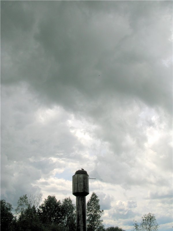 46-ой Пушкинский праздник поэзии в Берново. Часть вторая