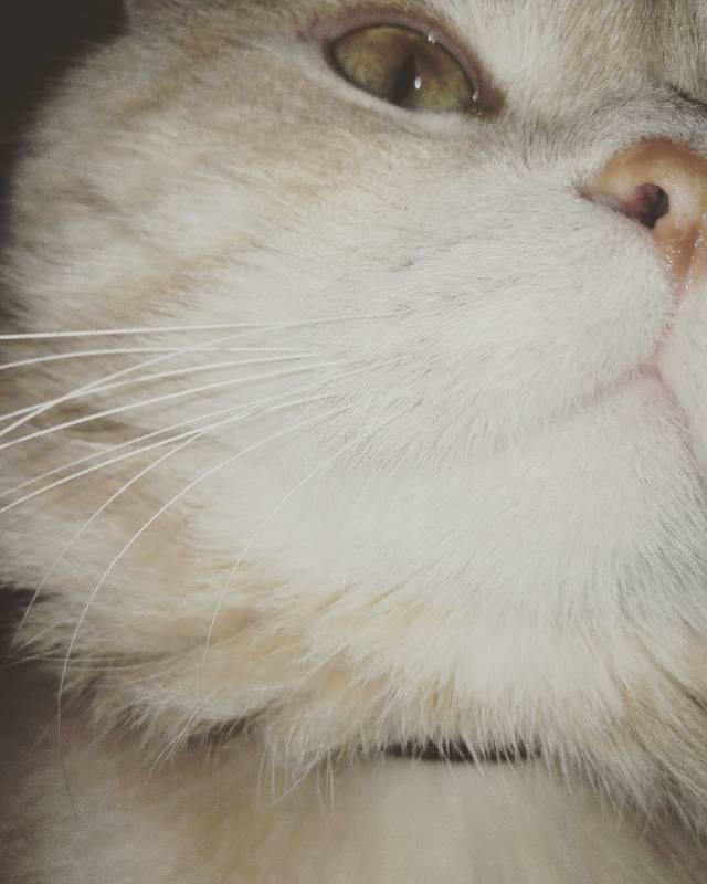 Те, кто нас любит и в домашнем халате, и без косметики, и растрепанными | Бэйбики Те, кто нас любит и в домашнем халате, и без косметики, и растрепанными